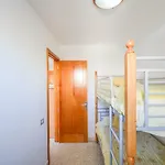 Apartament 3 Minutes From Puerto Rico *